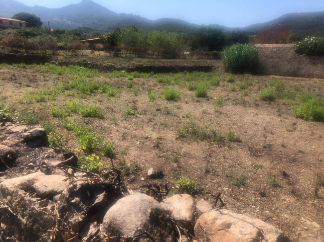 Vai alla scheda: Terreno Agricolo Vendita Marciana Marina